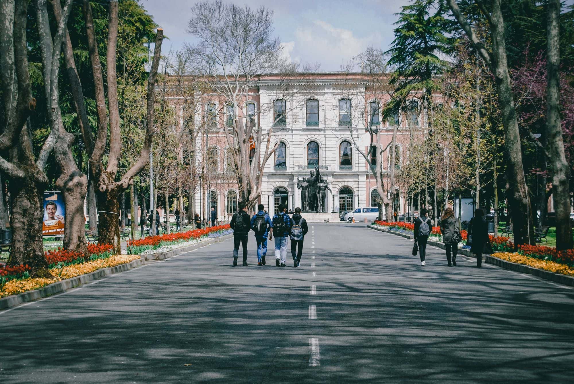Students walking a tree-lined university campus avenue